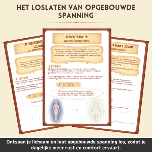Somatisch Reset Therapie Werkboek - Breng Je Zenuwstelsel Op Natuurlijke Wijze Tot Rust