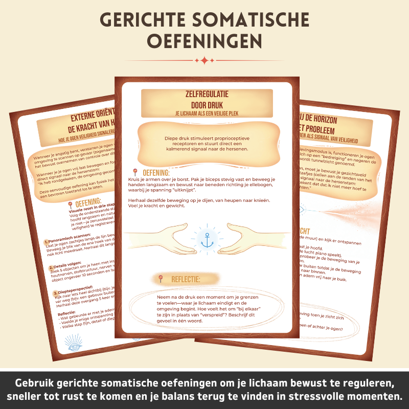 Somatisch Reset Therapie Werkboek - Breng Je Zenuwstelsel Op Natuurlijke Wijze Tot Rust