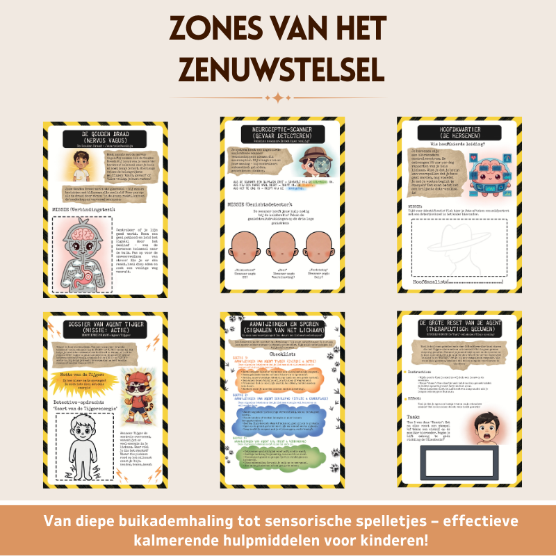 De Polyvagaaltheorie Voor Kinderen – Werkboek Voor Regulatie Van Het Zenuwstelsel | Hulpmiddel Voor Emotieregulatie