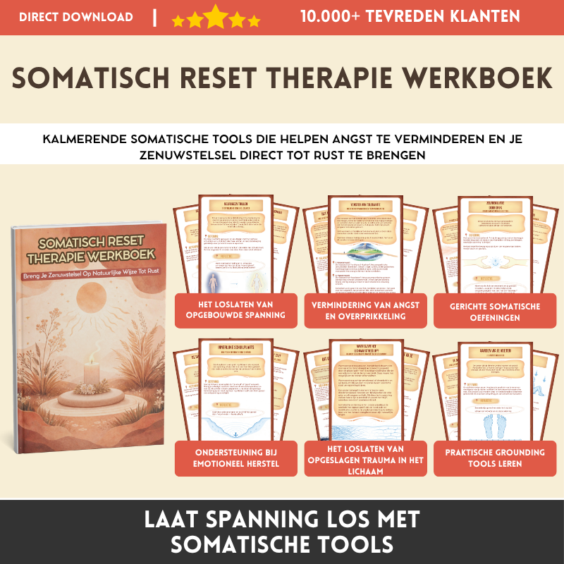 Somatisch Reset Therapie Werkboek - Breng Je Zenuwstelsel Op Natuurlijke Wijze Tot Rust