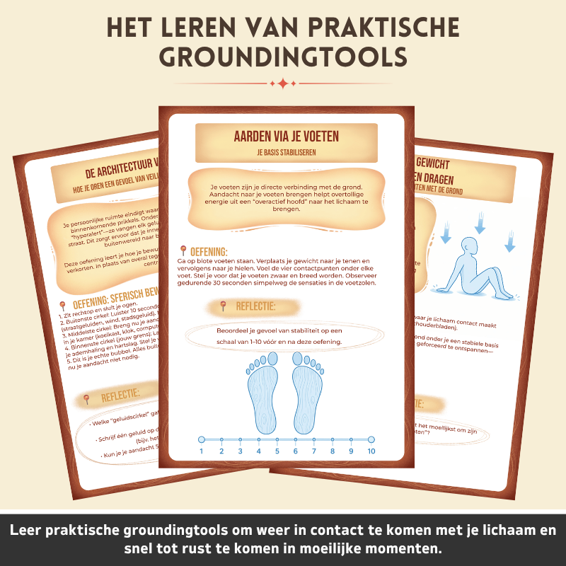 Somatisch Reset Therapie Werkboek - Breng Je Zenuwstelsel Op Natuurlijke Wijze Tot Rust