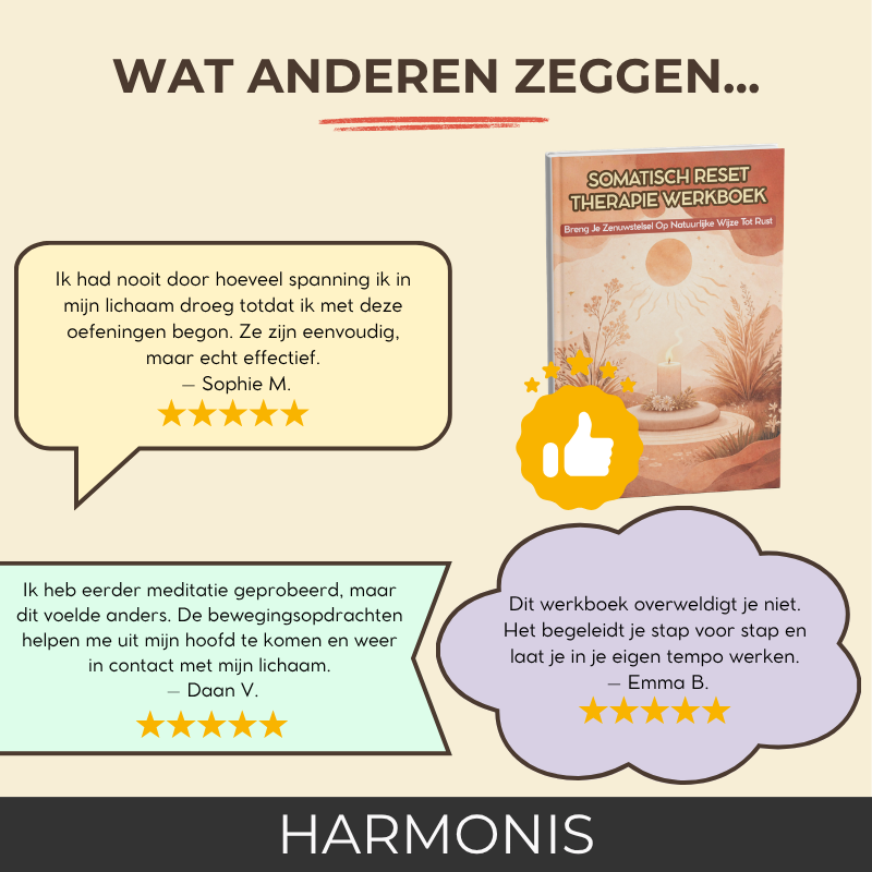 Somatisch Reset Therapie Werkboek - Breng Je Zenuwstelsel Op Natuurlijke Wijze Tot Rust