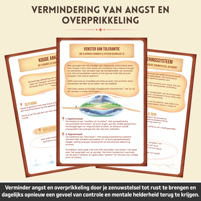 Somatisch Reset Therapie Werkboek - Breng Je Zenuwstelsel Op Natuurlijke Wijze Tot Rust